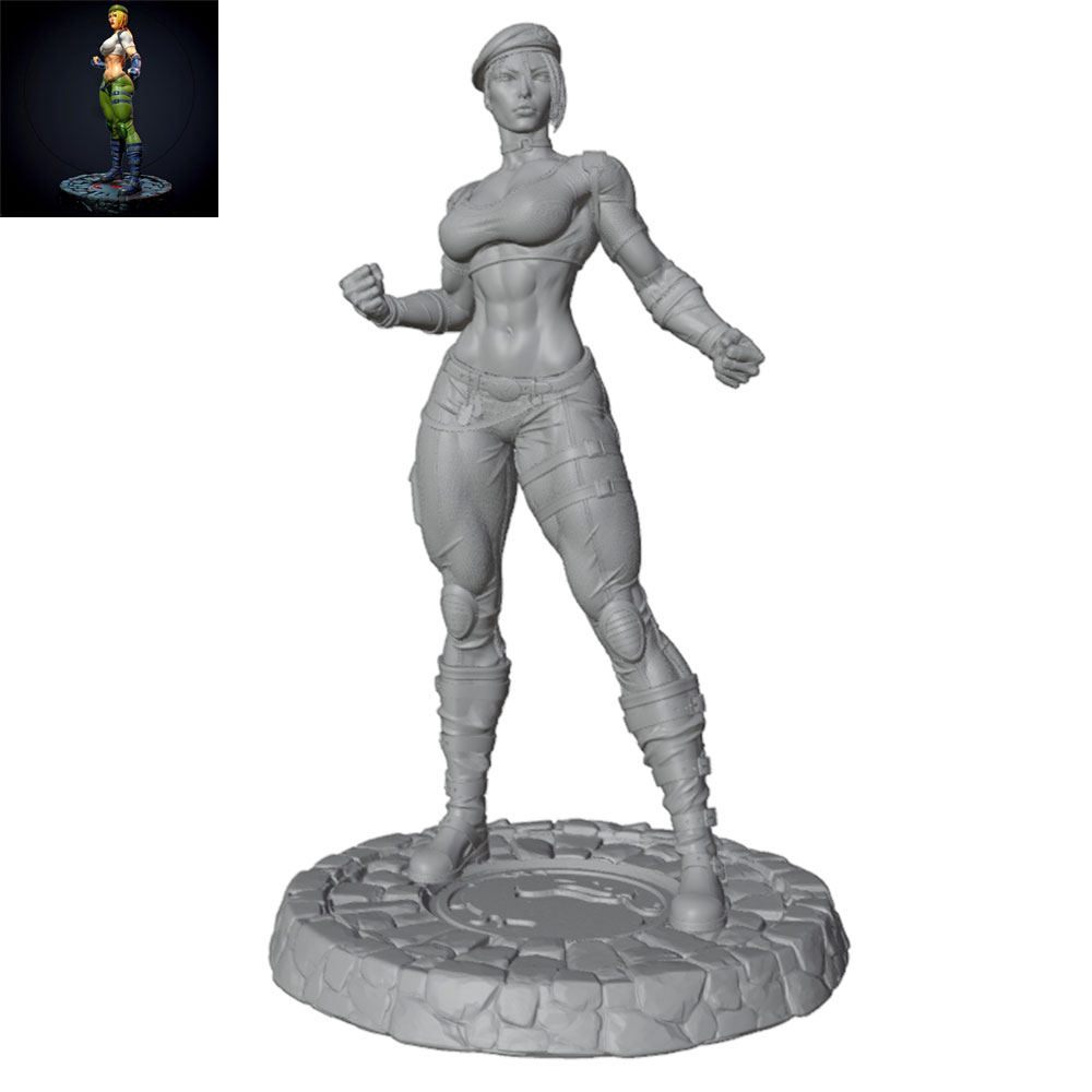 1/24/6 Klassiek straatvechtfig - 3D Printing Instructor recensie en prijs