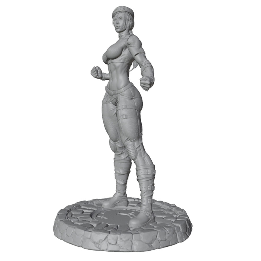 1/24/6 Klassiek straatvechtfig - 3D Printing Instructor recensie en prijs
