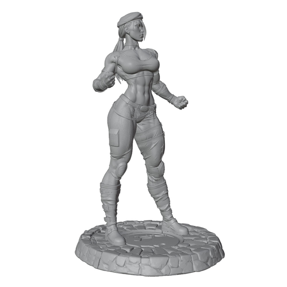 1/24/6 Klassiek straatvechtfig - 3D Printing Instructor recensie en prijs